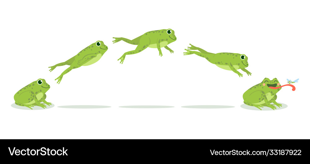 Frog Jumping Animation Sequence vector image