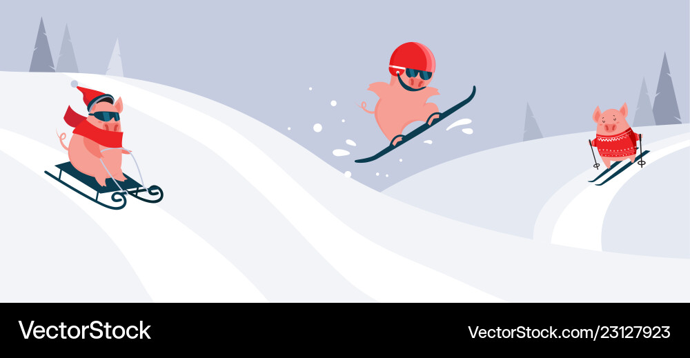 Funny cartoon pigs sliding skiing Funny cartoon pigs sliding skiing vector image