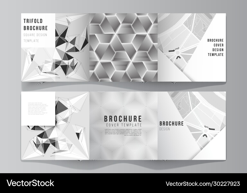 Minimal editable layout square format Vector Image