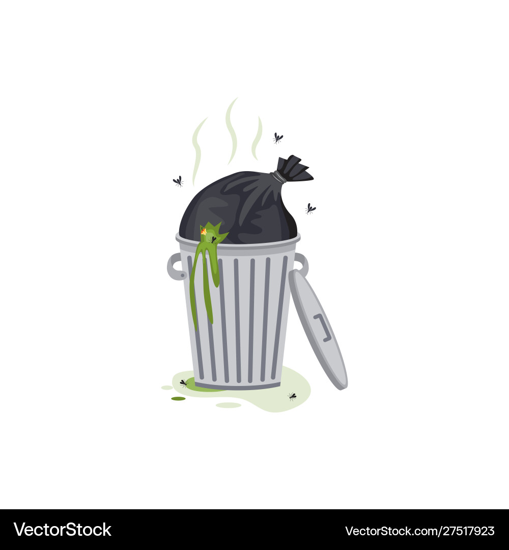 Overflowing Trash Can with Garbage vector image