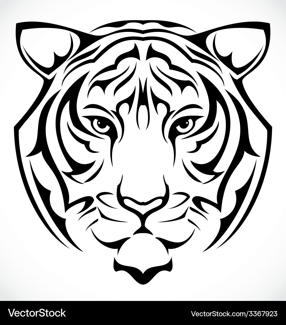 Tiger head vector image