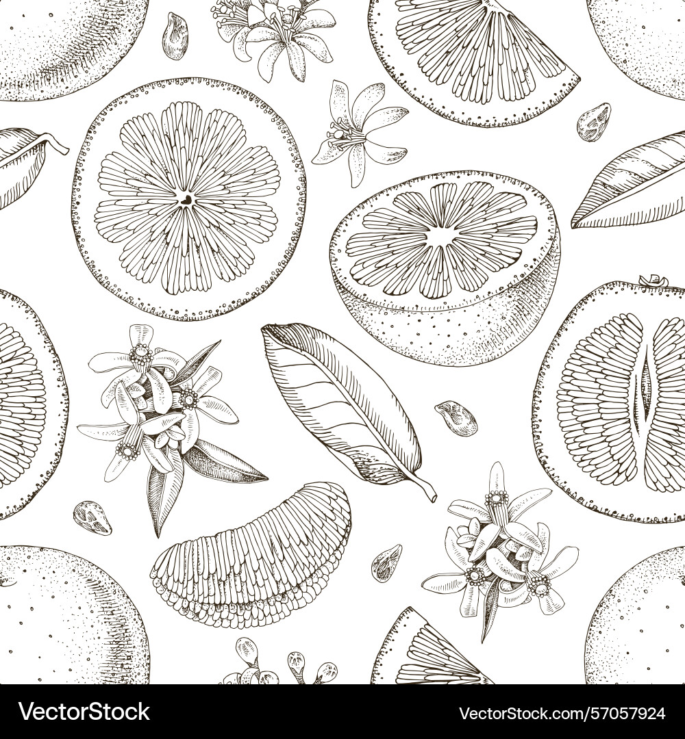 Seamless pattern with grapefruits slices Seamless pattern with grapefruits slices vector image