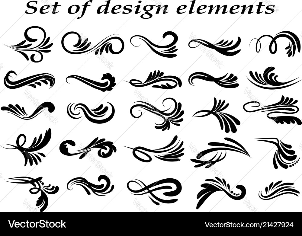 Swirl & Curl Embellishments Vector Image