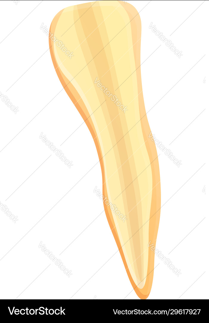 Half parsnip icon cartoon style Vector Image