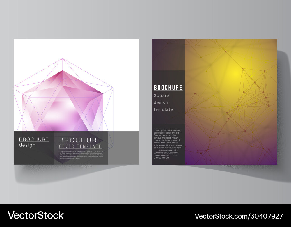 Minimal layout two square format covers Minimal layout two square format covers Vector Image