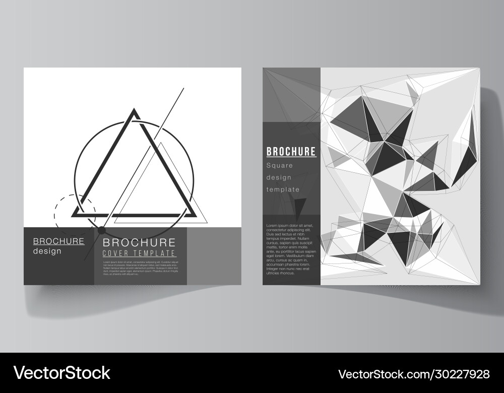 Minimal layout two square Minimal layout two square vector image