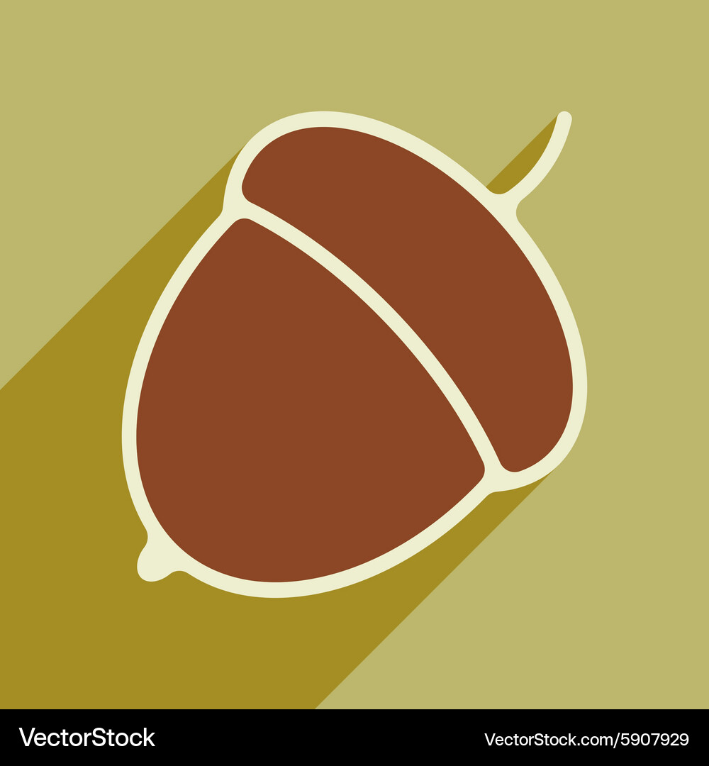 Flat with shadow icon and mobile application acorn Vector Image