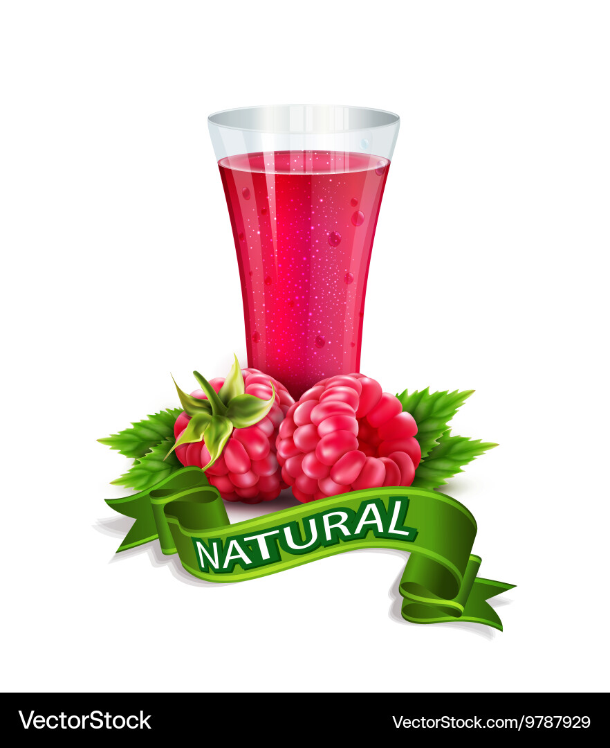 Raspberry Juice in Glass with Ribbon vector image