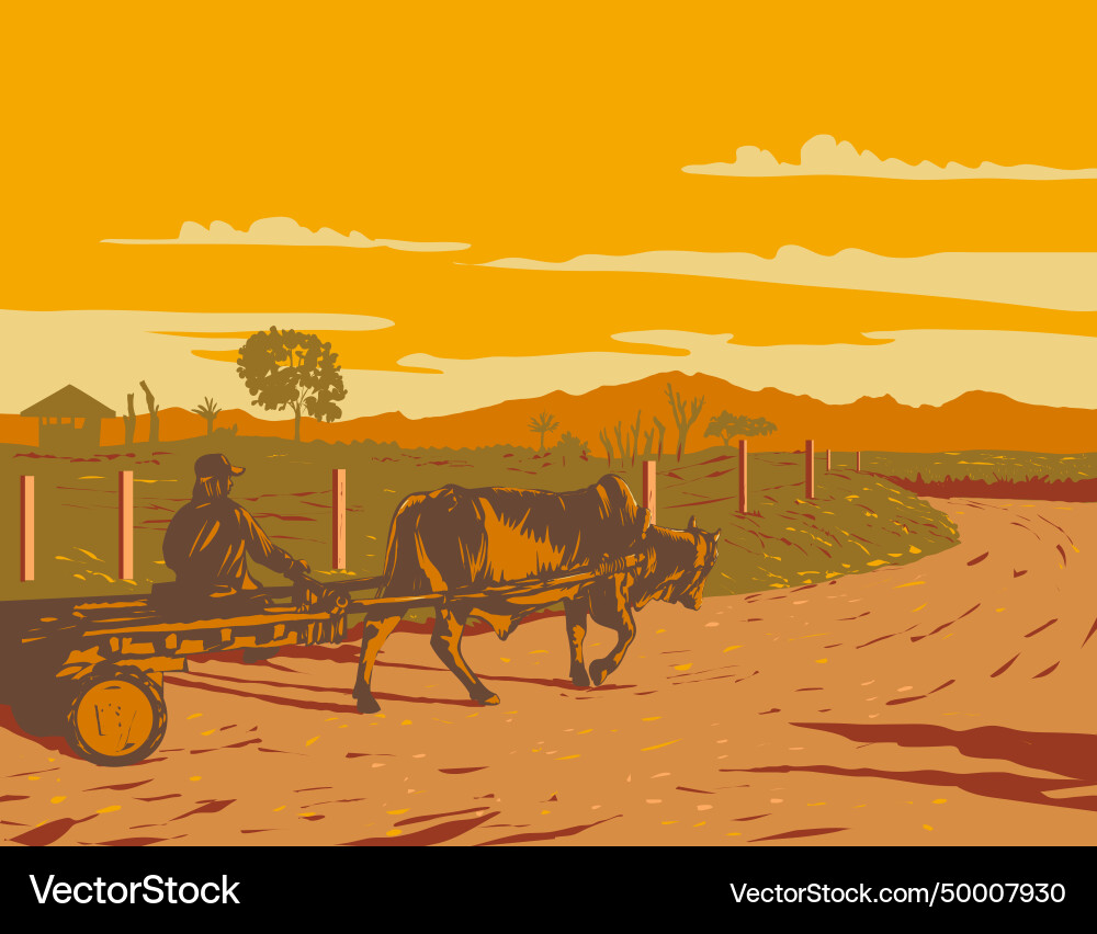 Brahman bull pulling cart in malaybalay Vector Image