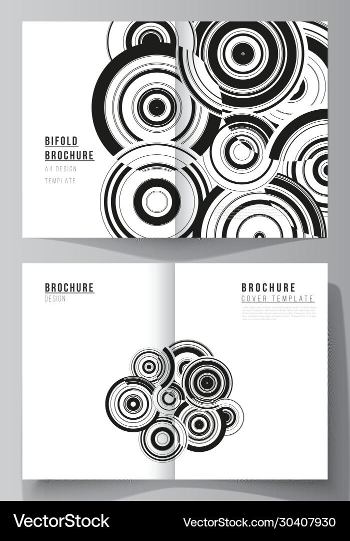 Layout two a4 format modern cover vector image