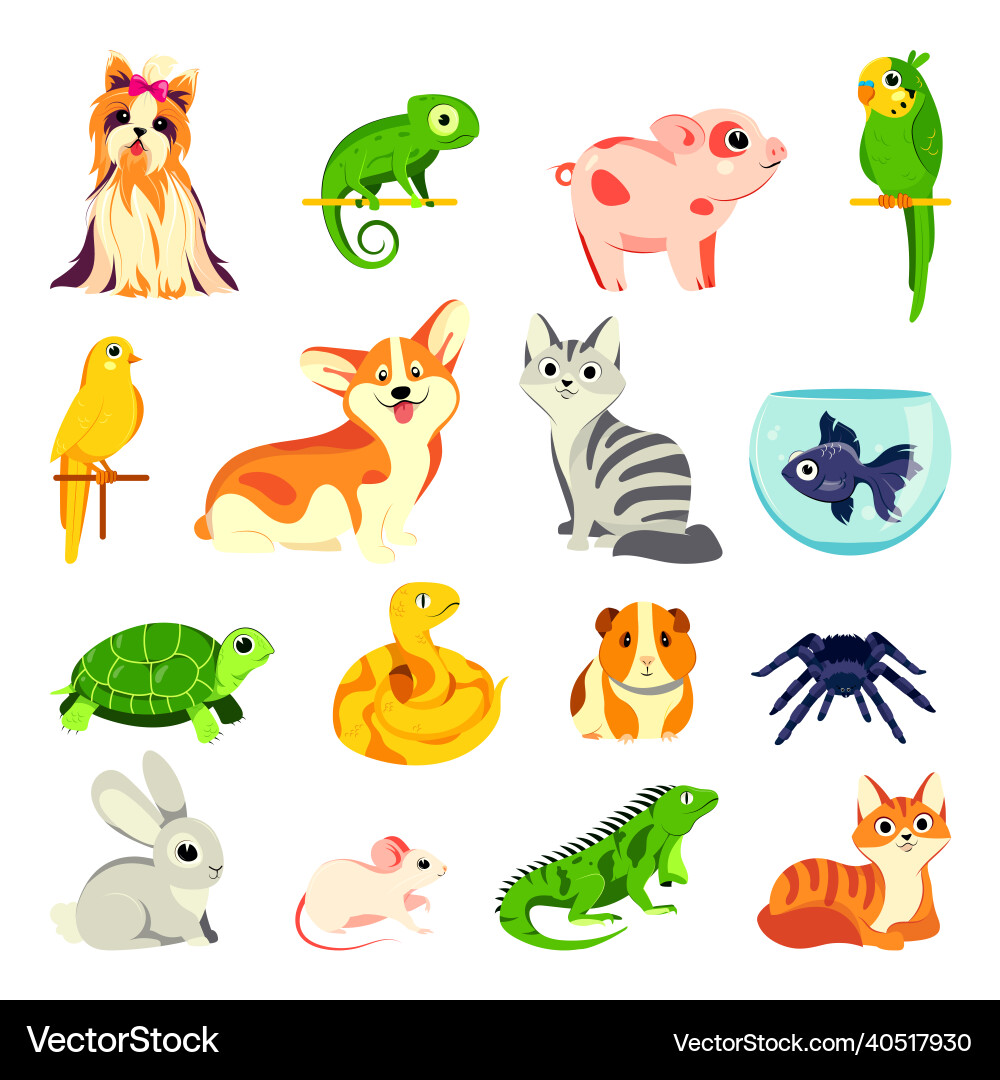 Pets animals set flat cartoon Pets animals set flat cartoon vector image