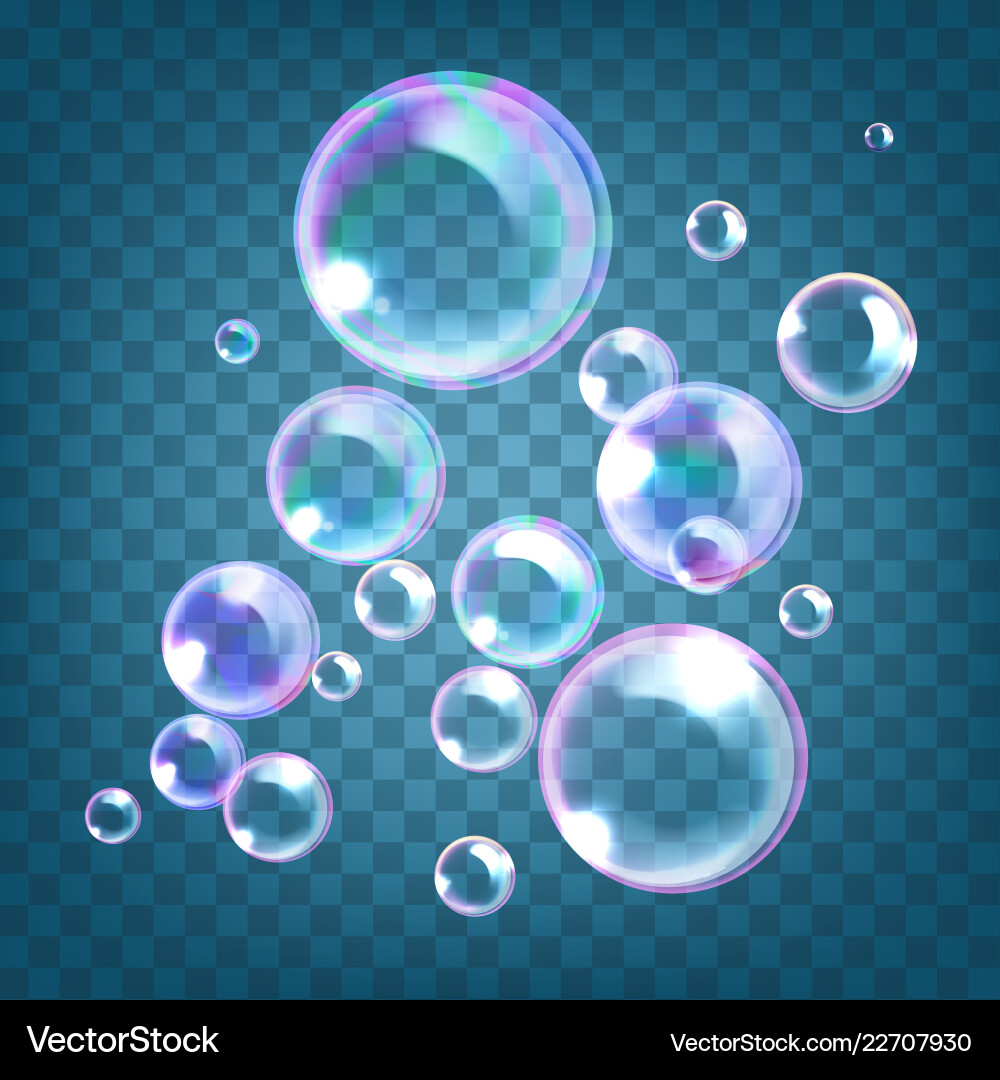 Realistic soap bubbles Royalty Free Vector Image
