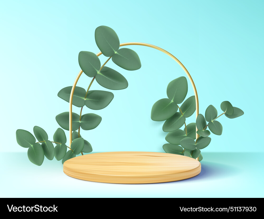 Wooden product podium with green leaf branches vector image