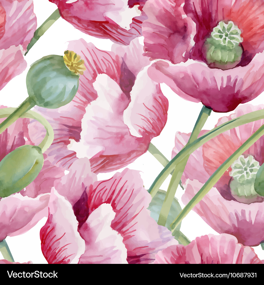 Watercolor Floral Summer Garden Vector Image