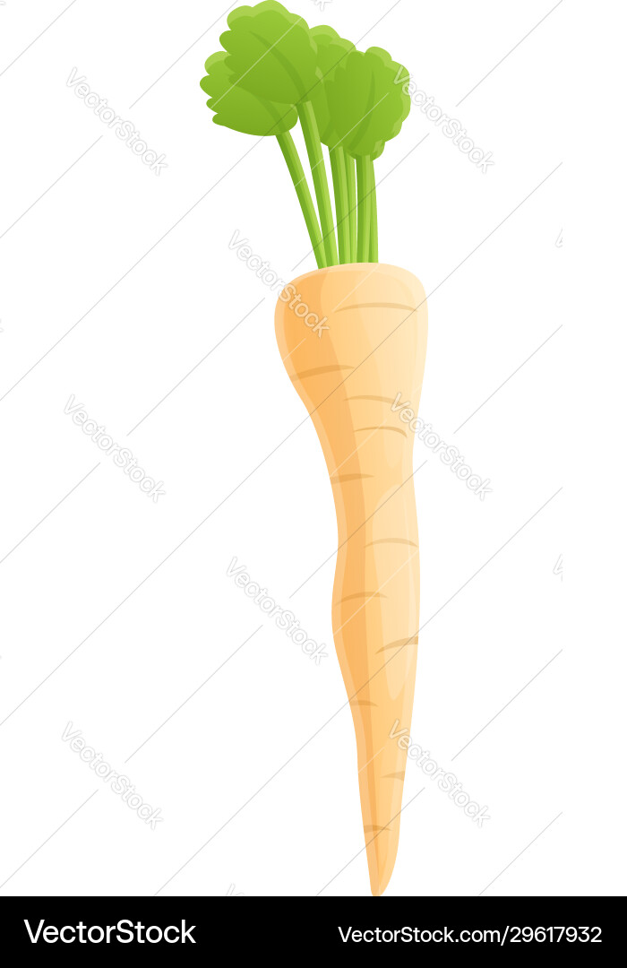 Parsnip root icon cartoon style Parsnip root icon cartoon style vector image