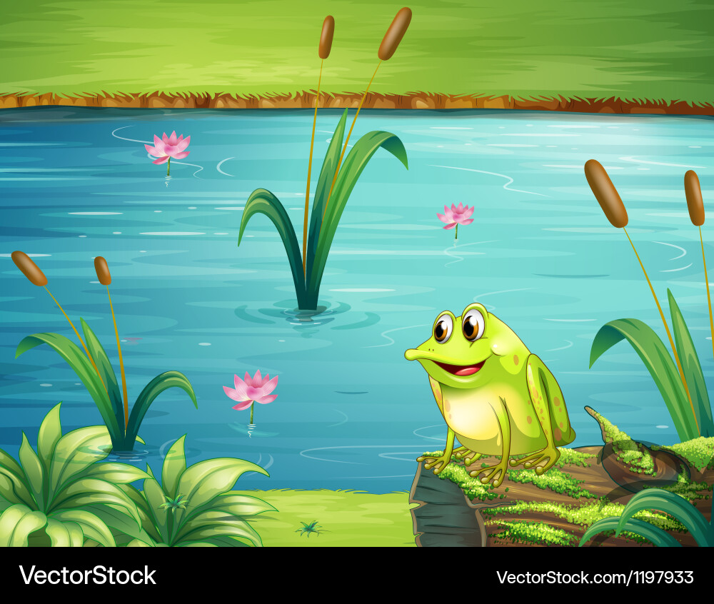 A frog at the riverbank vector image