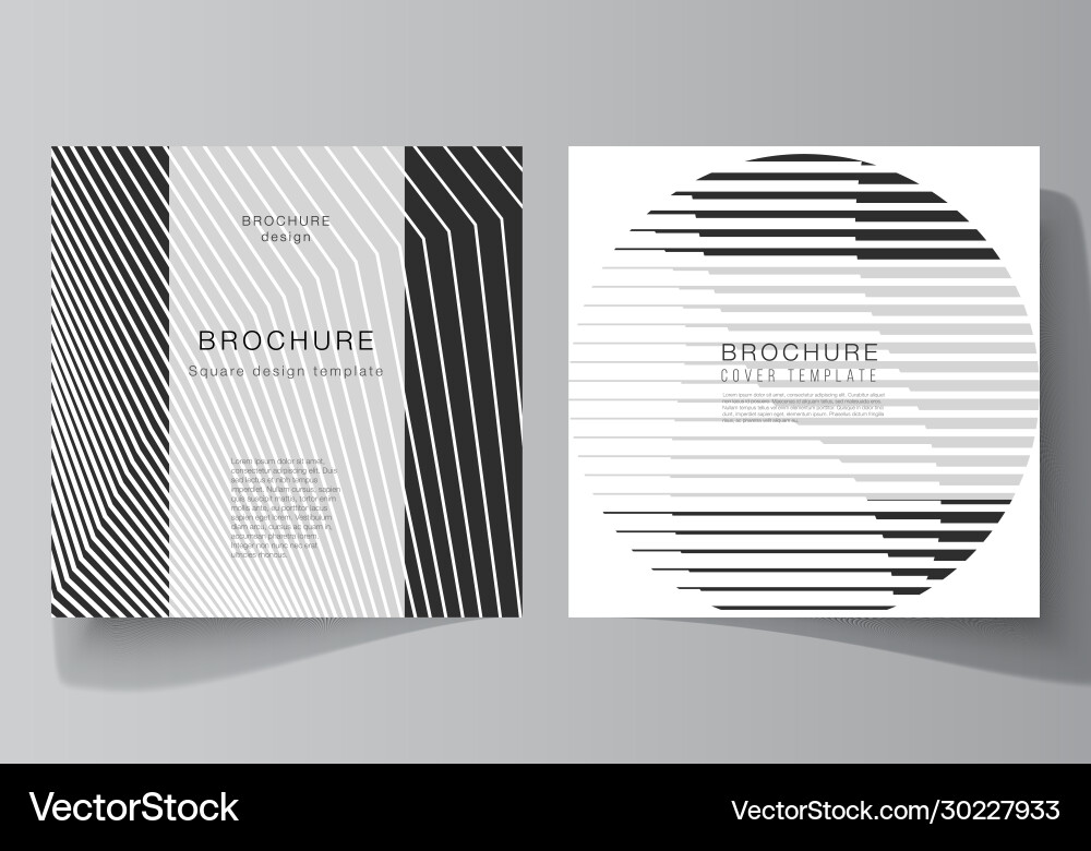 Minimal layout two square format Minimal layout two square format vector image