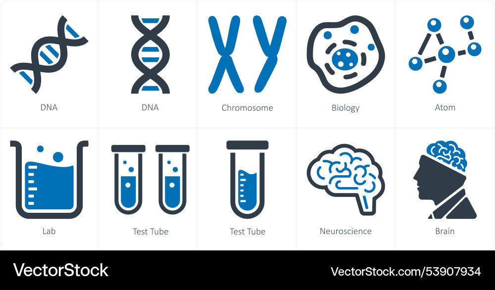 A set of 10 science and experiment icons as dna Vector Image