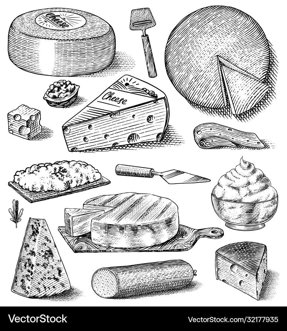 Käse-Set Scheiben mascarpone bleu de gex edam Käse-Set Scheiben mascarpone bleu de gex edam vektorbild