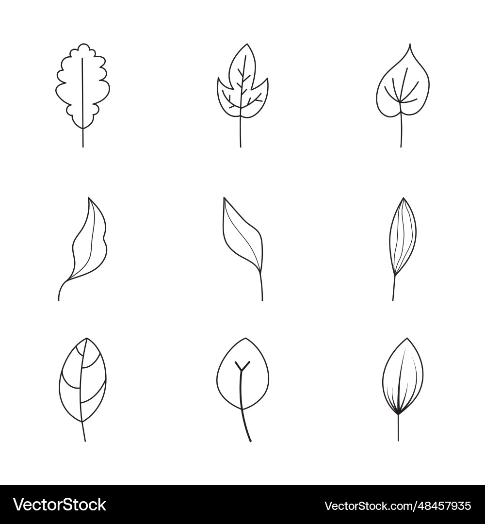 Minimalist leaf collection hand drawn branch Minimalist leaf collection hand drawn branch vector image