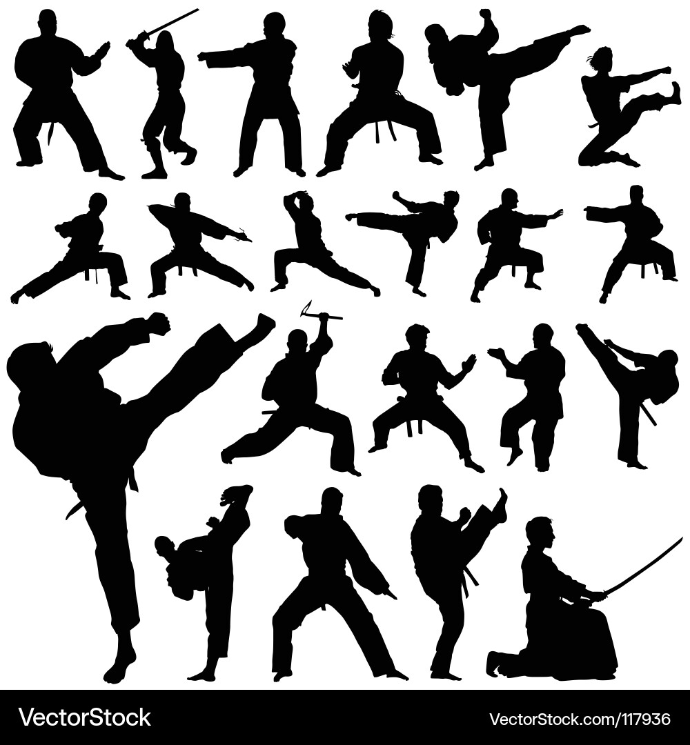 Karate Fighter Silhouettes Vector Image