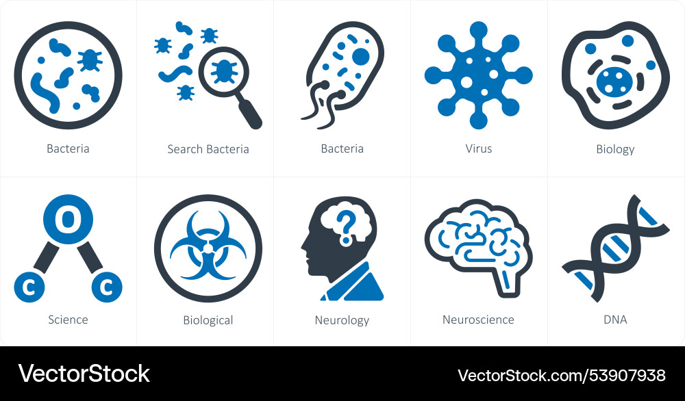 A set of 10 science and experiment icons Vector Image