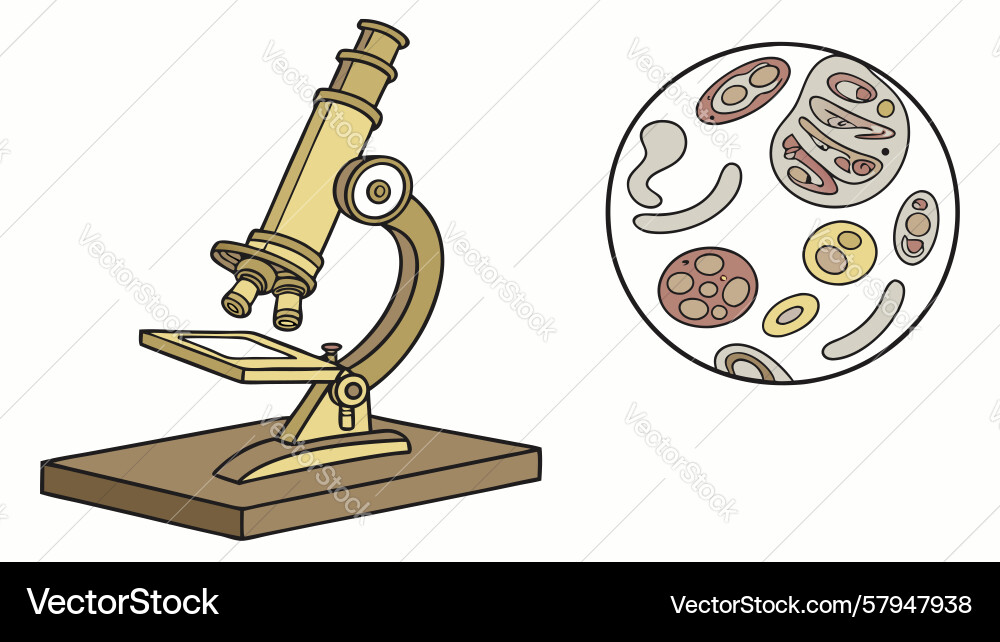 High-Resolution Microscope with Cells Vector Image