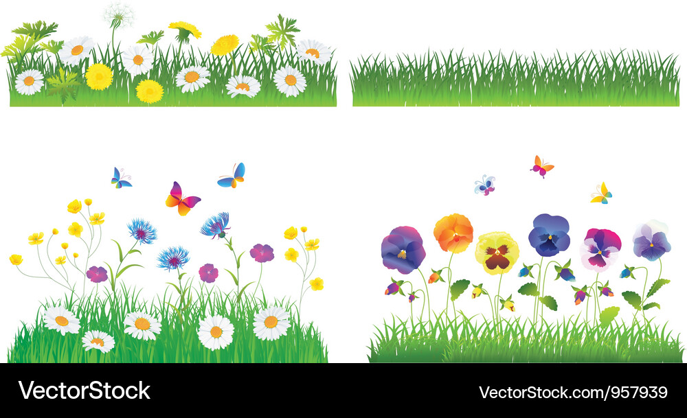 Floral Meadow Set - Grass & Flowers Vector Image