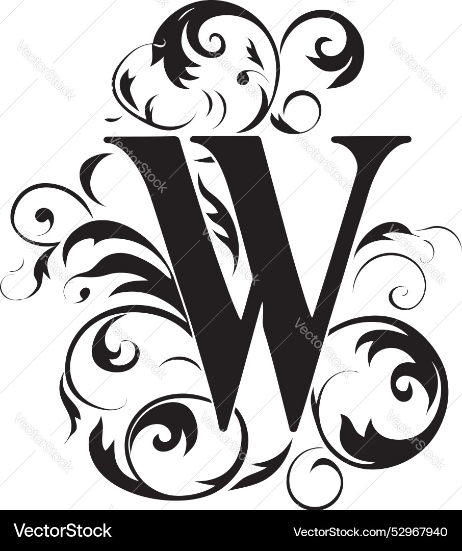 Whimsical script fancy font w decor wondrous Whimsical script fancy font w decor wondrous vector image