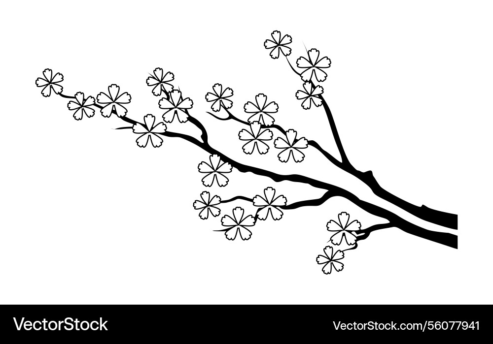 Dragon silhouette sakura branch spring blooming Dragon silhouette sakura branch spring blooming vector image