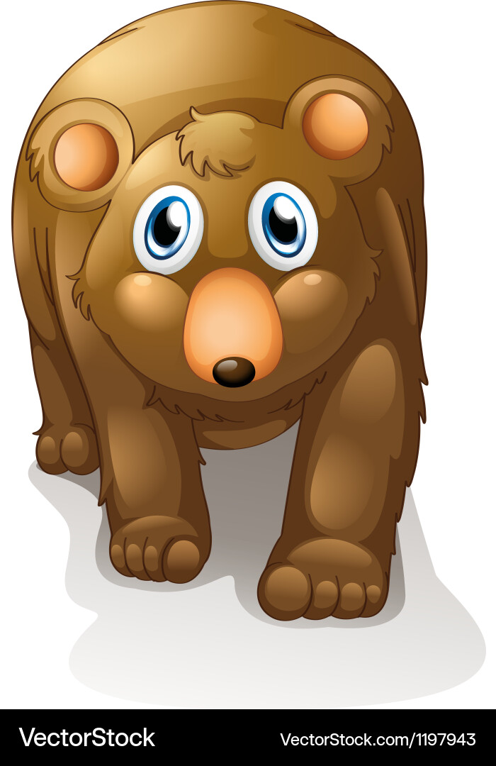 A brown bear Royalty Free Vector Image - VectorStock