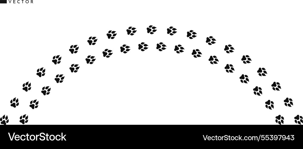 Fox paw prints wild animal track vector image