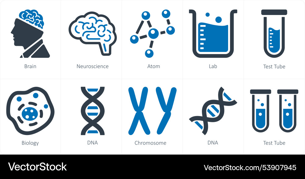 A set of 10 science and experiment icons as brain Vector Image