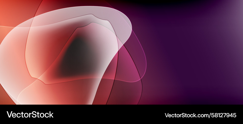 Fluid Gradient Shapes Vector Image
