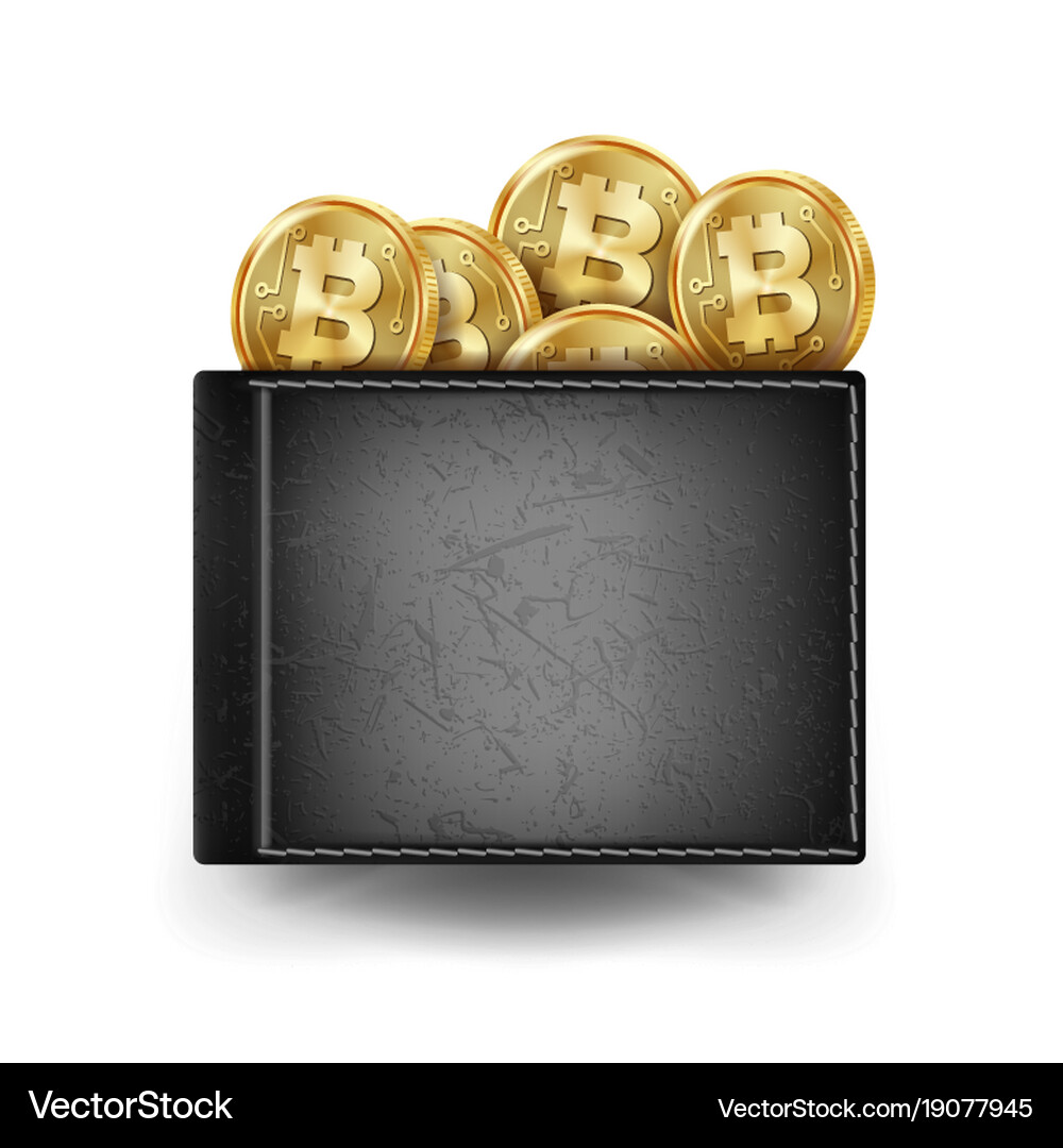 Realistic black bitcoin wallet investment – Royalty-Free Vector |  VectorStock
