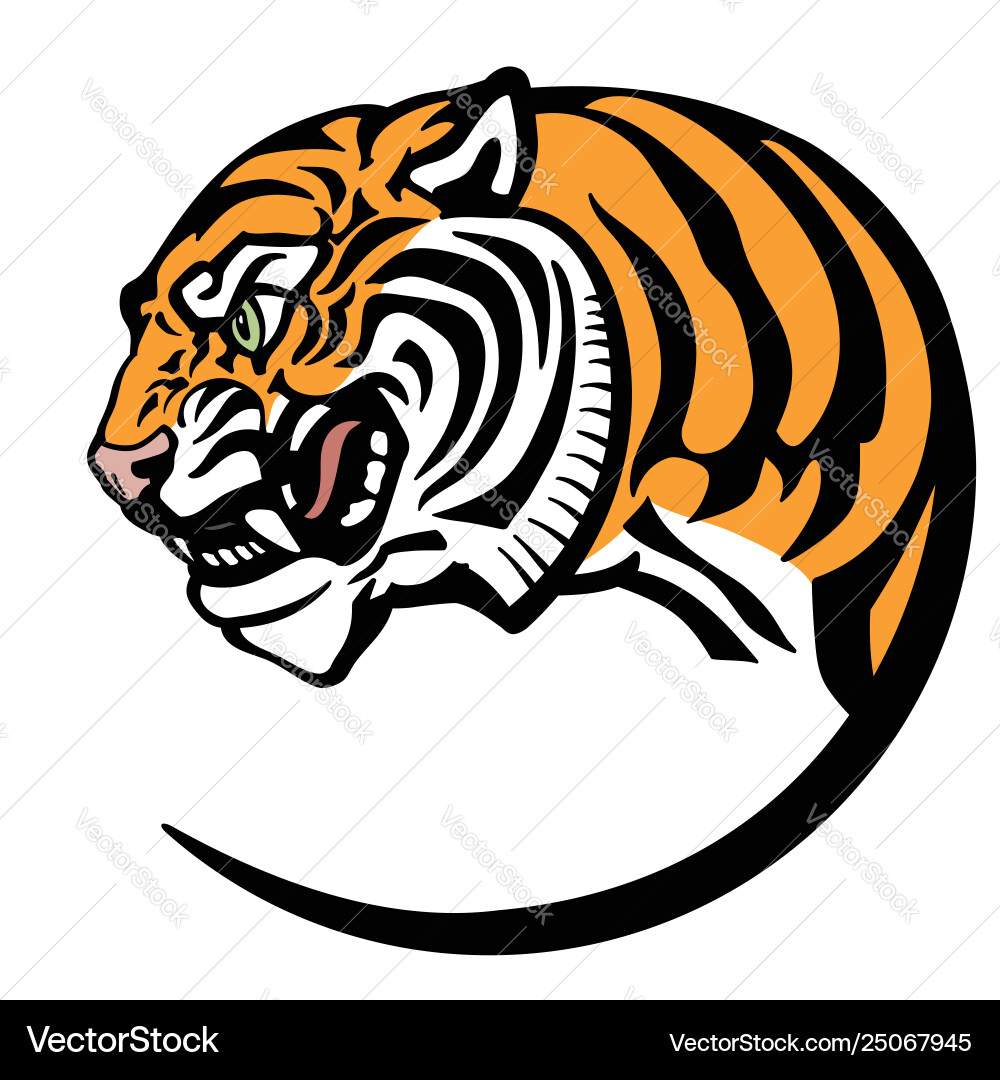 Tiger head Vector Image