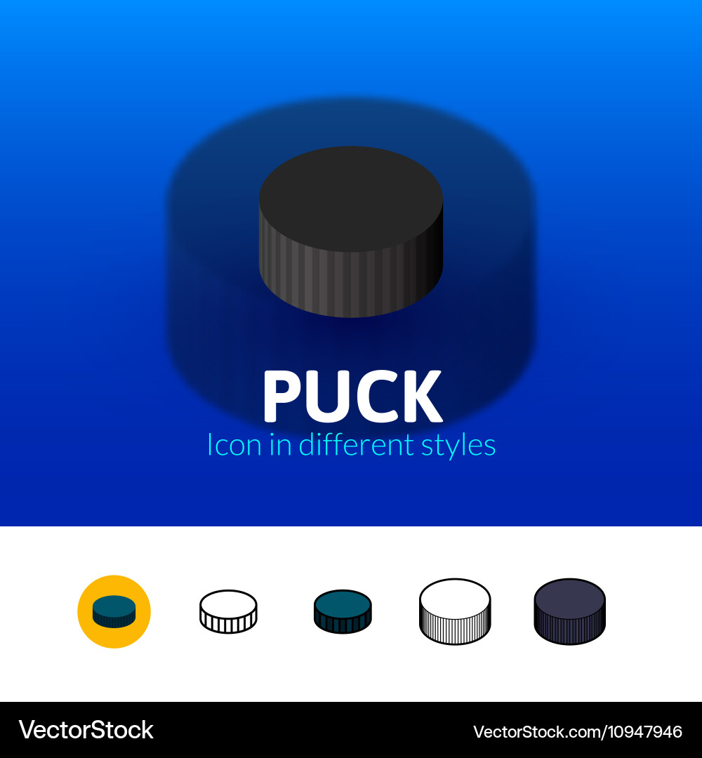Puck icon in different style vector image