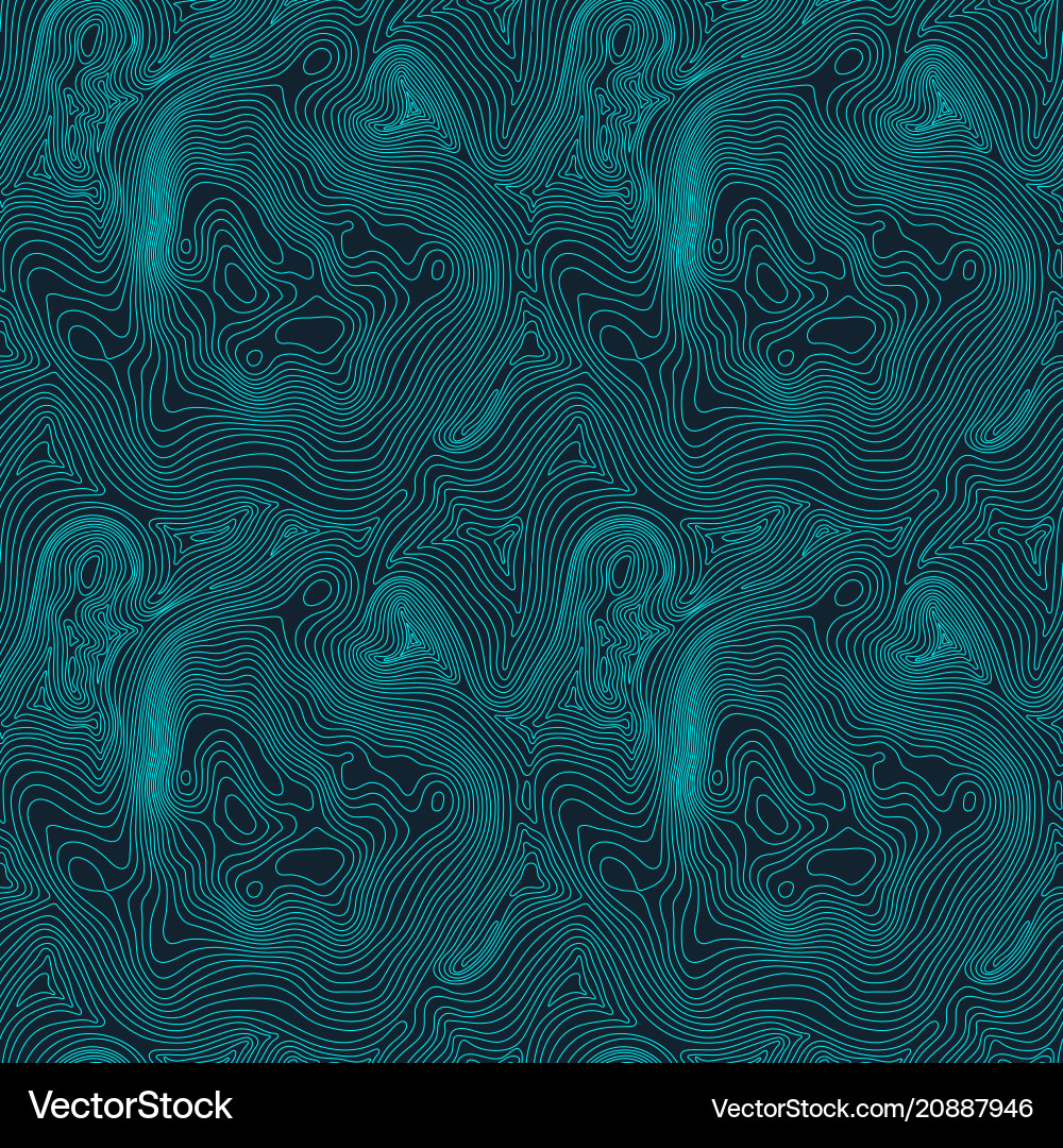Topographic Map Background Vector Image