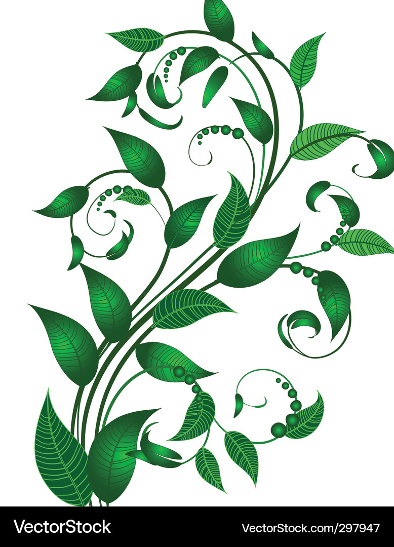 Elegant Swirl Leaf Pattern Vector Image