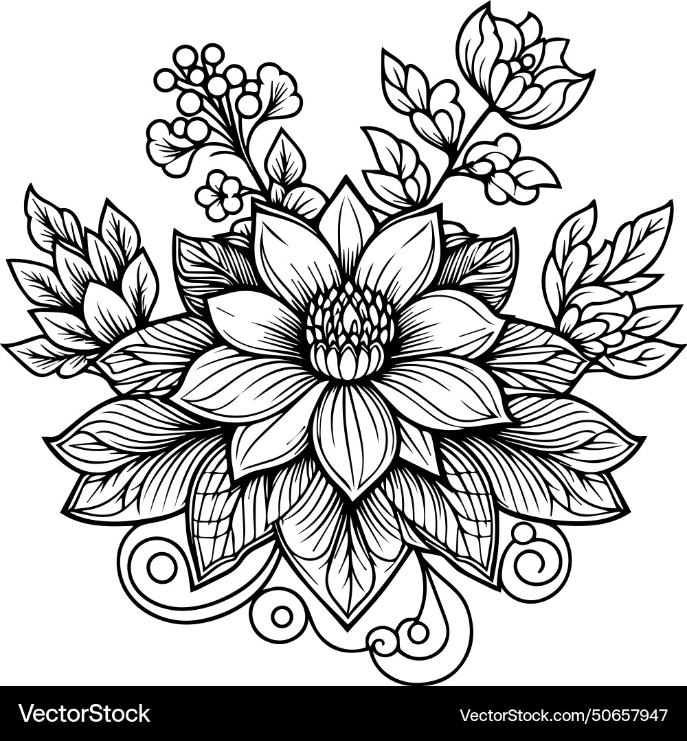 Realistic jasmine flower pencil drawing vector image