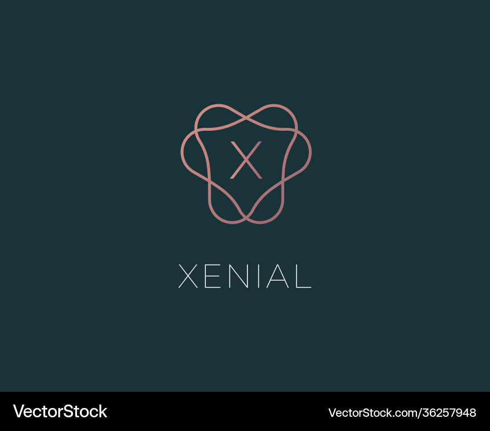 Letter x logo monogram minimal style identity Letter x logo monogram minimal style identity vector image
