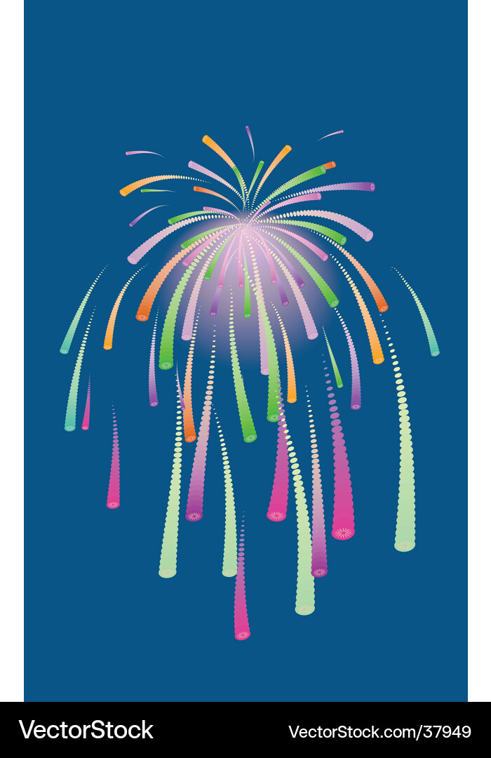 Colorful Fireworks Display Vector Image