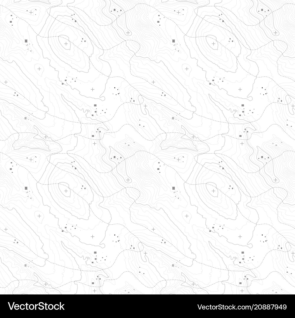 Topographic Map Background vector image