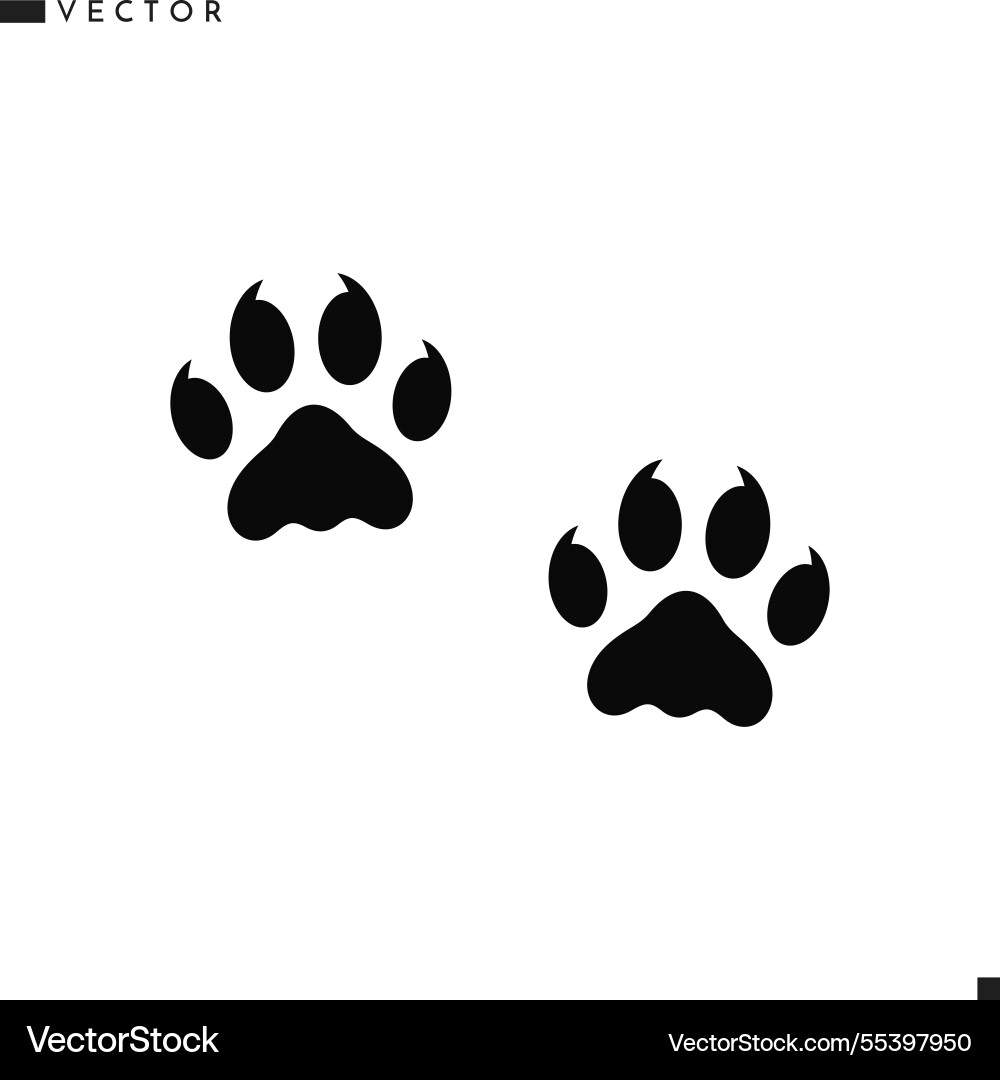 Puma paw prints silhouette vector image