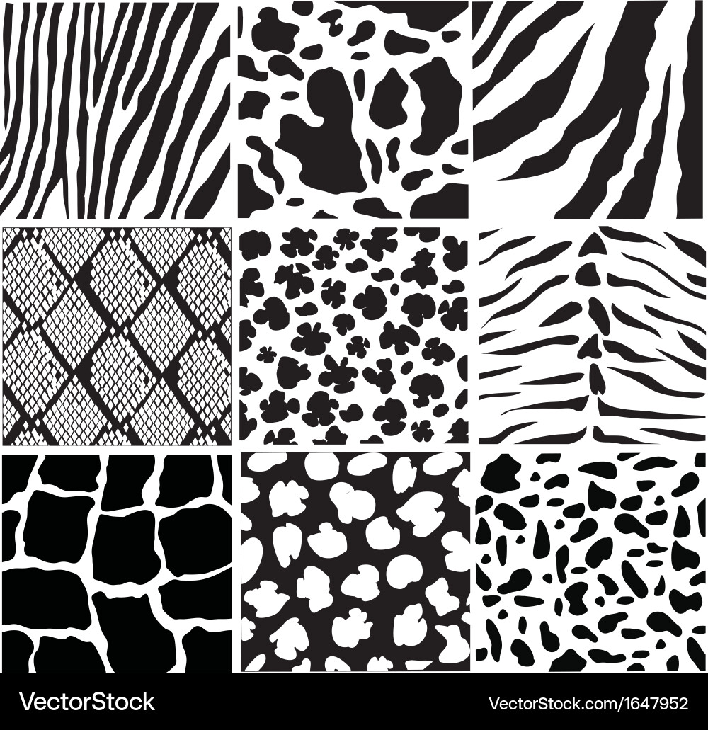 Animal Print Pattern vector image