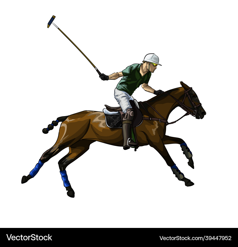 Equestrian Polo Game Vector Image
