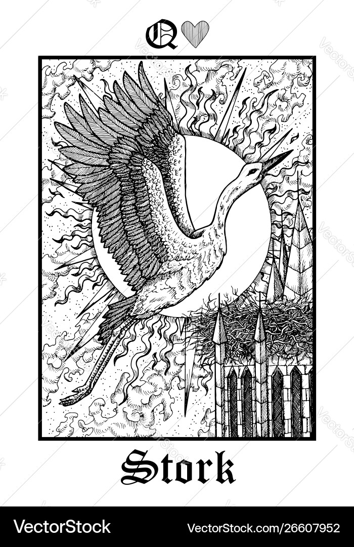 Stork tarot card from lenormand gothic mysteries Stork tarot card from lenormand gothic mysteries vector image