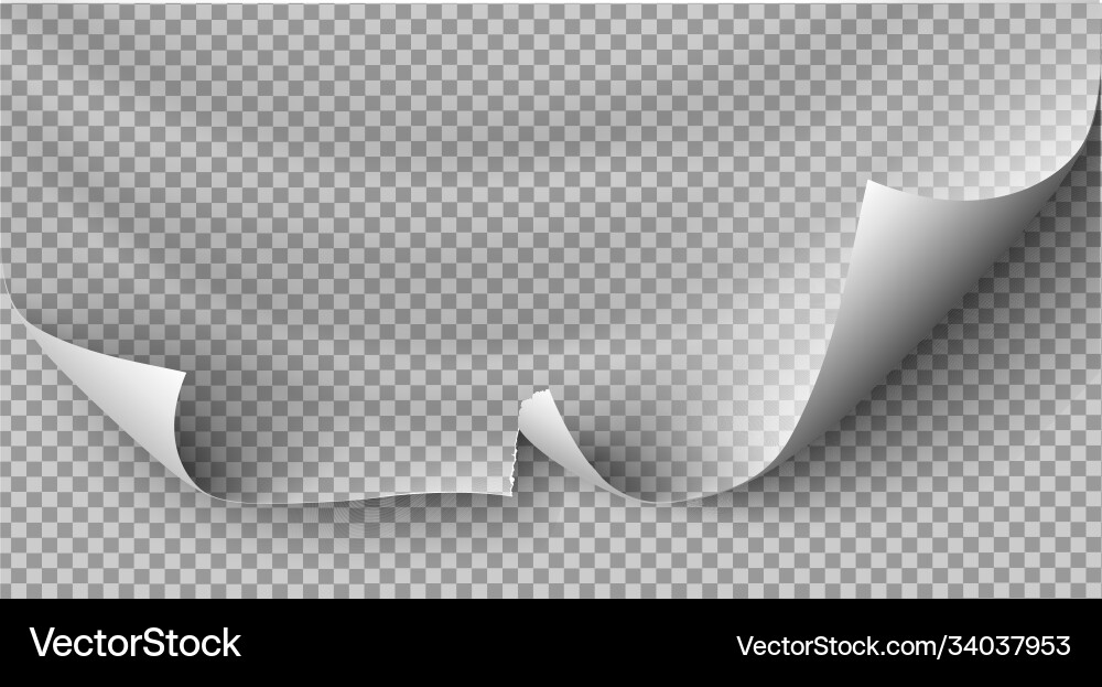 Page curl with shadow on blank sheet paper Page curl with shadow on blank sheet paper vector image