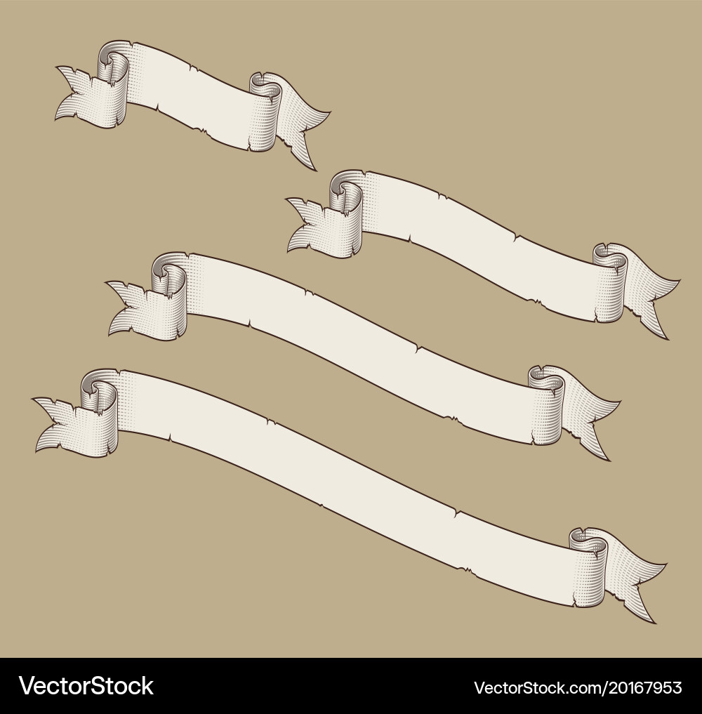 Papyrus scroll curved diagonal four sizes 1 vector image