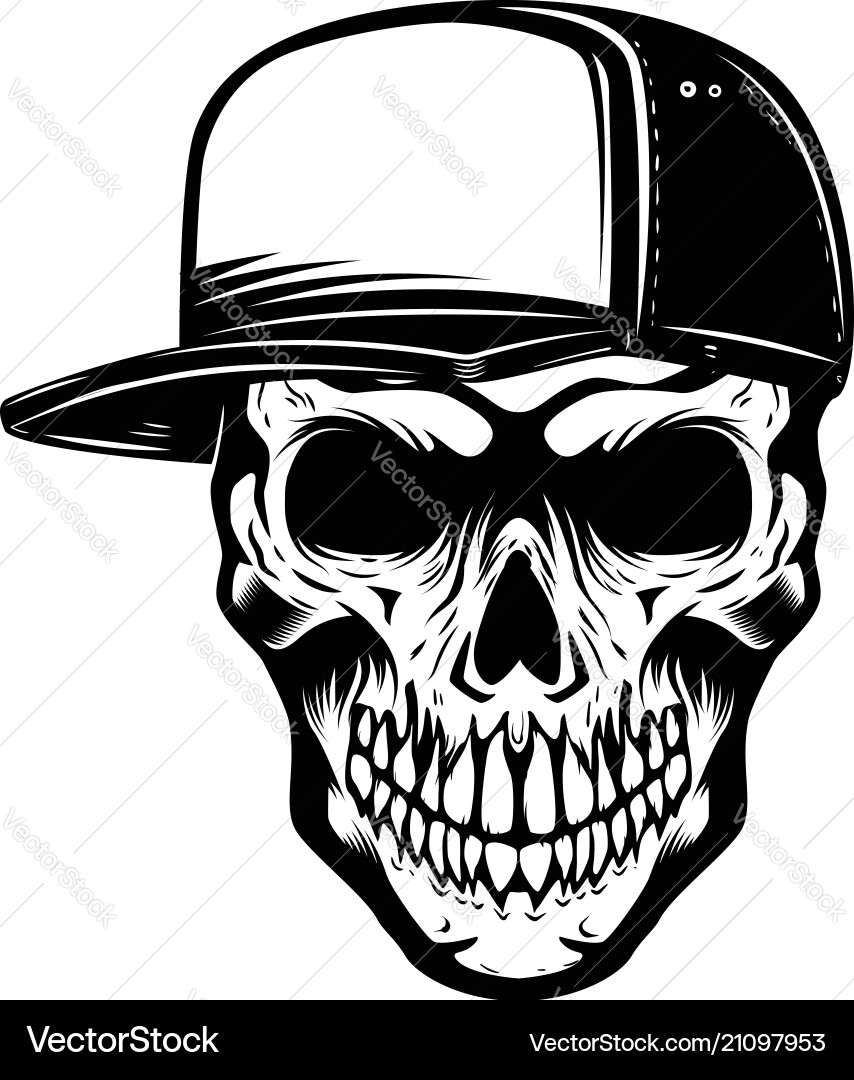 Skull in Baseball Cap vector image